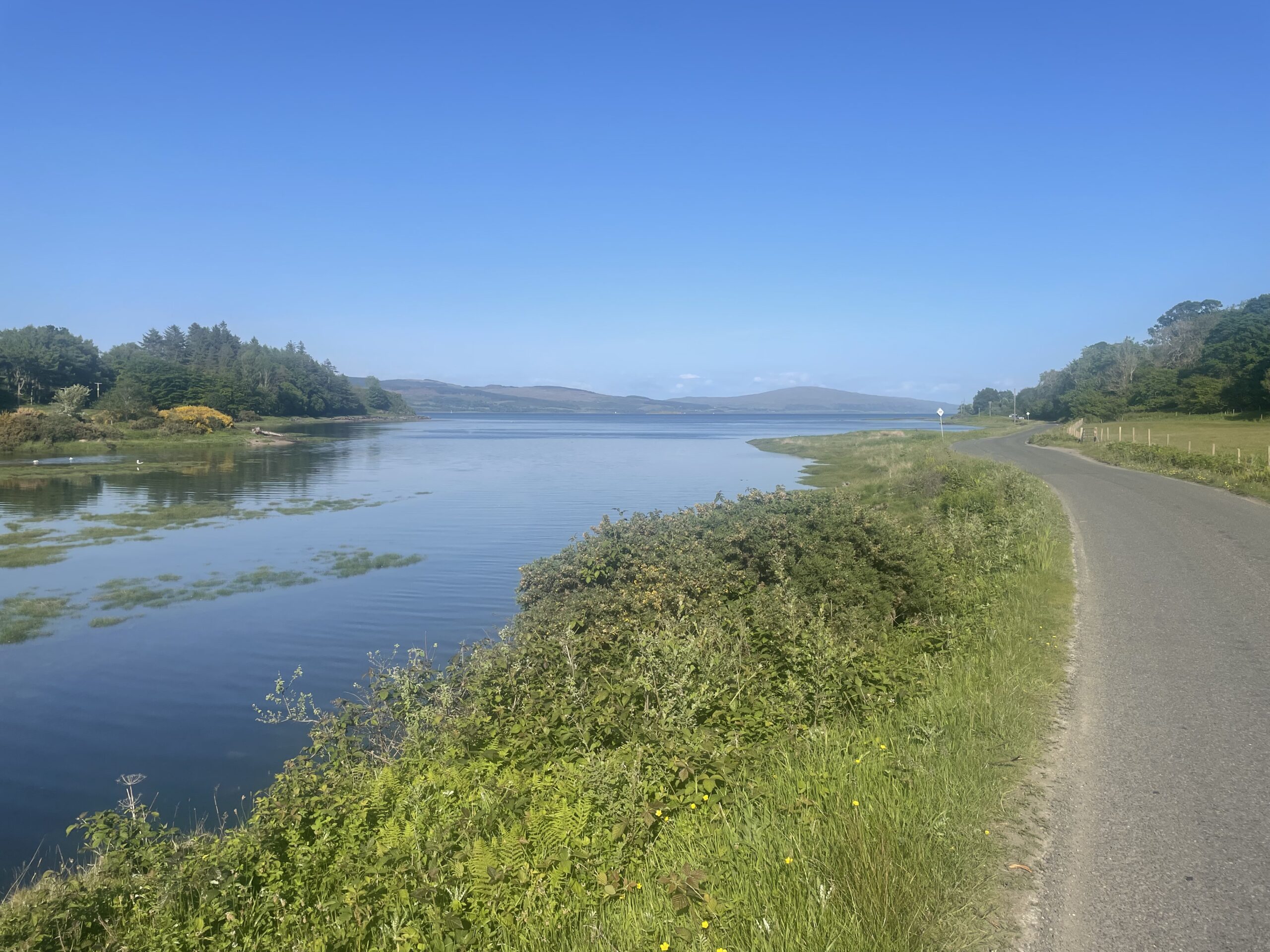 20230603 164942189 ios